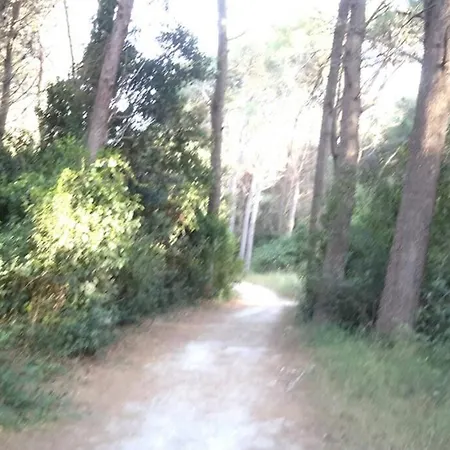 App 146