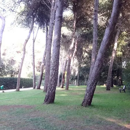 App 146 *